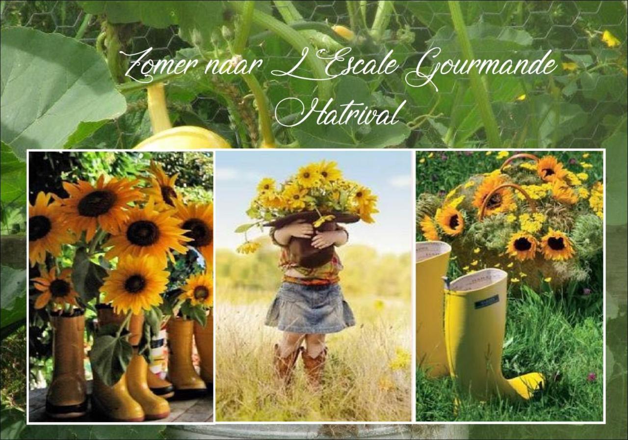 L'Escale Gourmande Villa Hatrival Ngoại thất bức ảnh